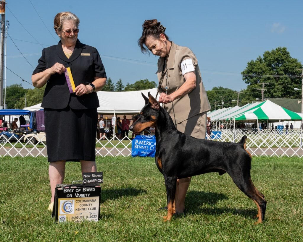 stonenewchbestofbreed